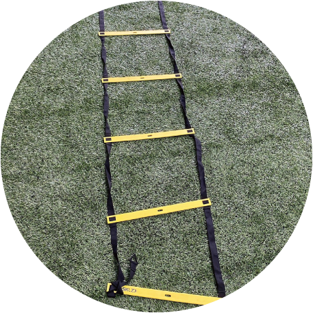 ラダートレーニング